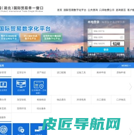 中国（湖北）国际贸易单一窗口