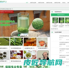 信阳毛尖价格-毛尖品牌排名-信阳毛尖茶叶网「半买半送」