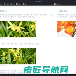趣农笔记-专业的花草种养知识分享网站