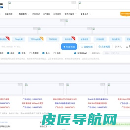 网络测速在线-ping检测-网站测速工具-域名污染-域名被墙-dns查询-vsping.com