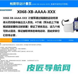 帕斯菲达x068-XB-AAAA-XXX、x068-XB-AAAA-XXX计量泵、x068机械泵、x068CHEM-TECH、帕斯菲达机械泵、隔膜泵、加药泵-基睿环保库存代理商