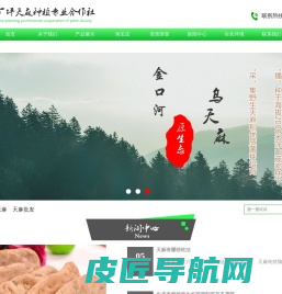 乌天麻,原生态天麻,天麻批发—乐山市金口河区板厂坪天麻种植专业合作社