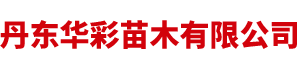 丹东华彩苗木有限公司-丹东华彩苗木-蓝莓苗基地-东北红豆杉基地