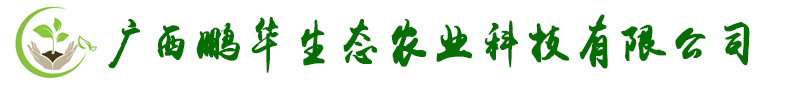 供应沃柑苗|脆蜜金桔苗|砂糖桔苗|香水柠檬苗|泰国红宝石青柚苗|沙田柚苗|果苗_广西鹏华生态农业科技有限公司