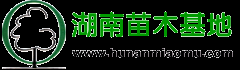 湖南苗木基地|湖南苗木价格|湖南苗圃|湖南长沙苗木供应商