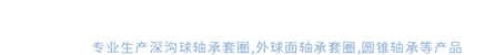 轴承套圈_ 外球面轴承套圈生产厂家-江苏亚奥精密机械有限公司