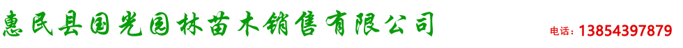 惠民县国光园林苗木销售有限公司-惠民速生白蜡小苗|惠民速生国槐小苗|山东速生国槐|山东刺槐|山东榆树|山东椿树|山东柽柳|惠民县国光园林苗木销售有限公司