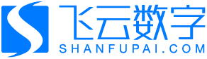 飞云数字|让每次支付更有价值，聚合支付、刷脸支付、小程序商城—山东飞云数字科技有限公司