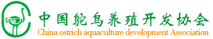 中国鸵鸟网 - 中国鸵鸟养殖开发协会官方网站