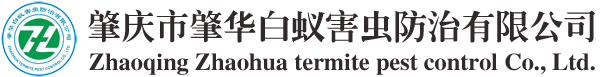 肇庆白蚁防治_肇庆白蚁公司_肇庆白蚁防治公司_肇庆白蚁防治中心_肇庆杀虫_肇庆市肇华白蚁害虫防治有限公司